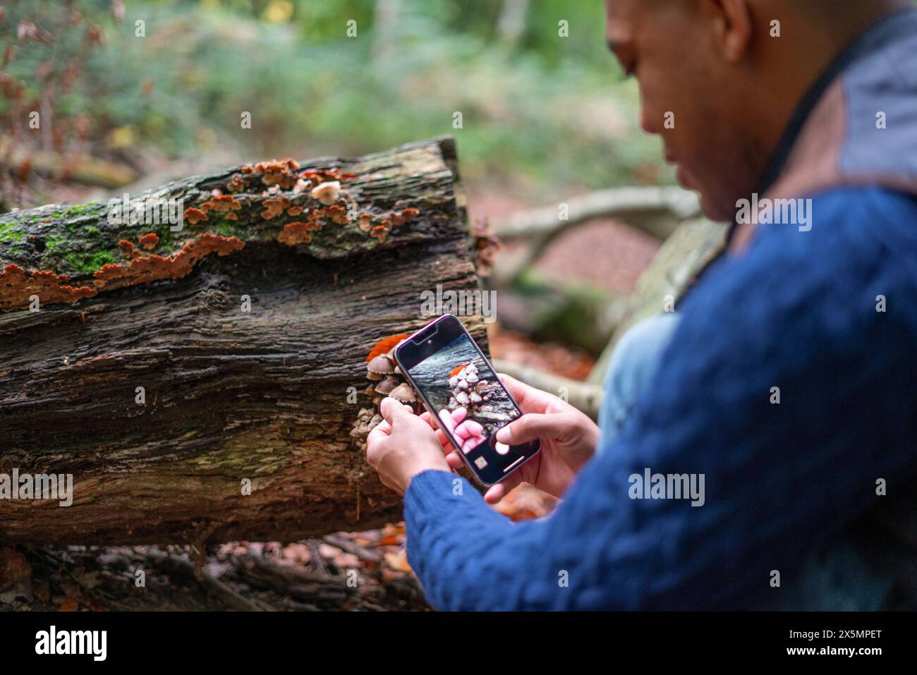 Uomo che scatta una foto di piccoli funghi che crescono su tronchi nella foresta Foto Stock