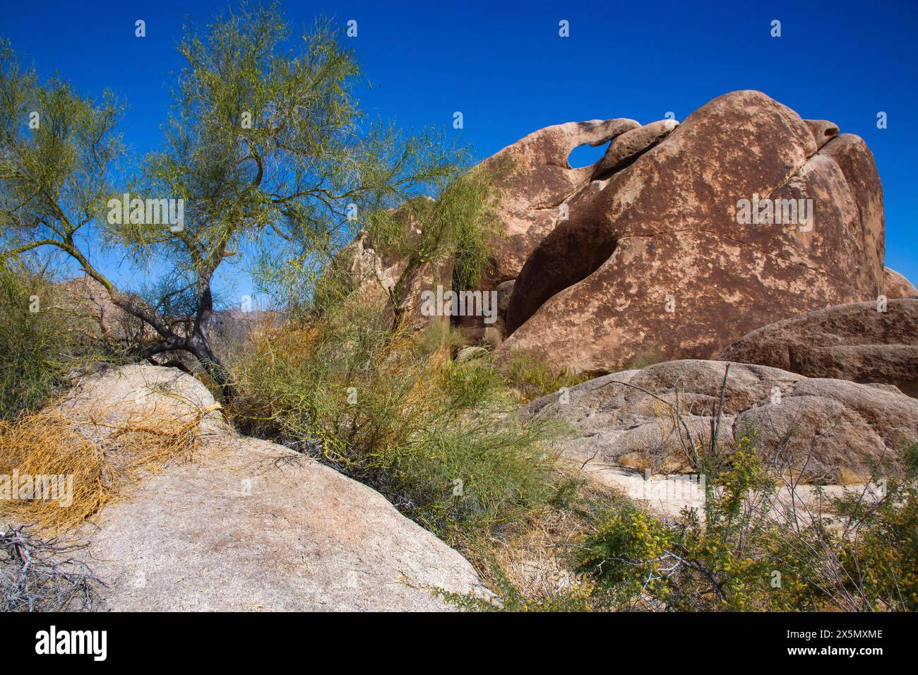 Rampa di uscita di Hayfield Road, deserto del Mojave, California Foto Stock