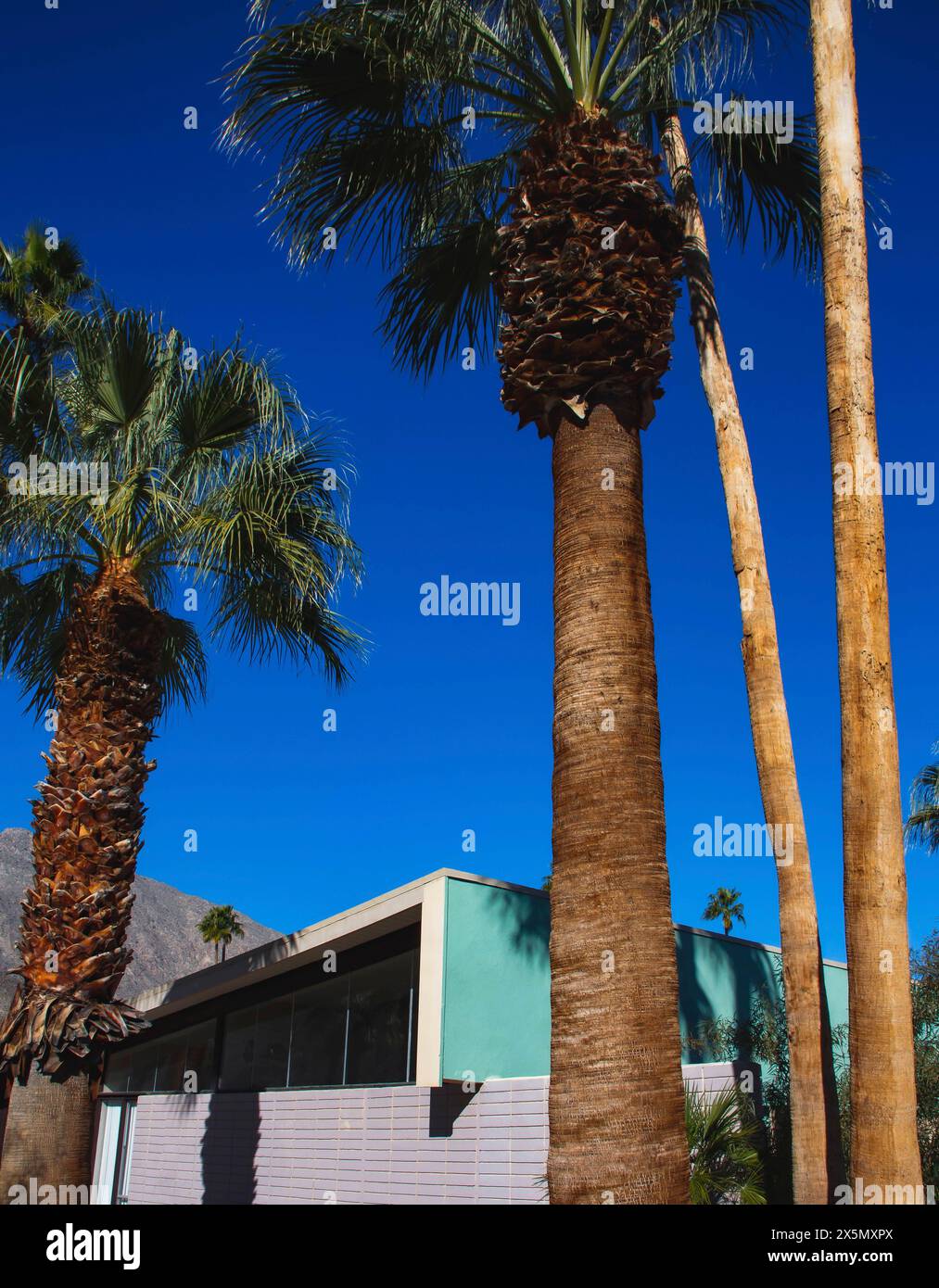 Palm Springs, casa del modernismo. (Solo per uso editoriale) Foto Stock