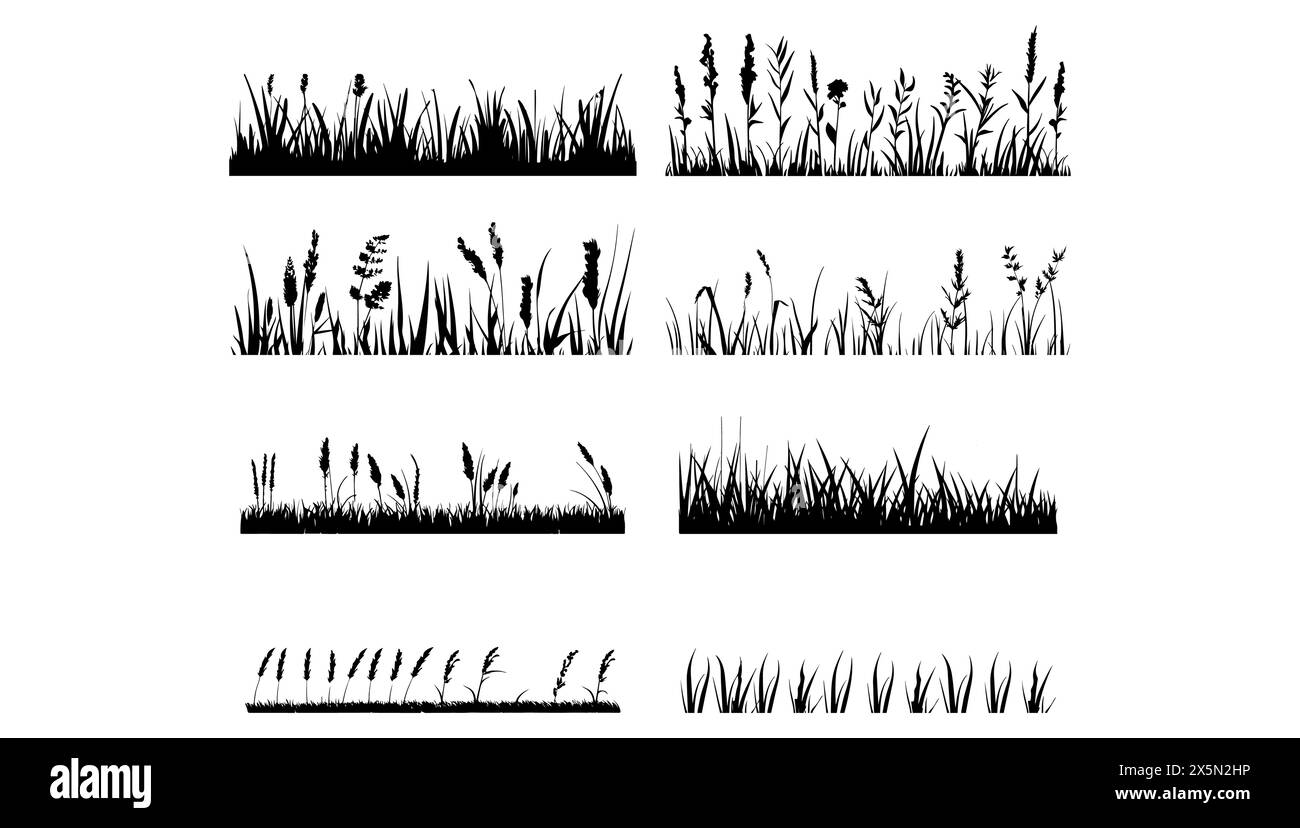 Set vettoriale di sagome in erba nera su sfondo bianco. Illustrazione della natura design estivo e botanica orizzontale del giardino. Fiore di prato tagliato e o Illustrazione Vettoriale