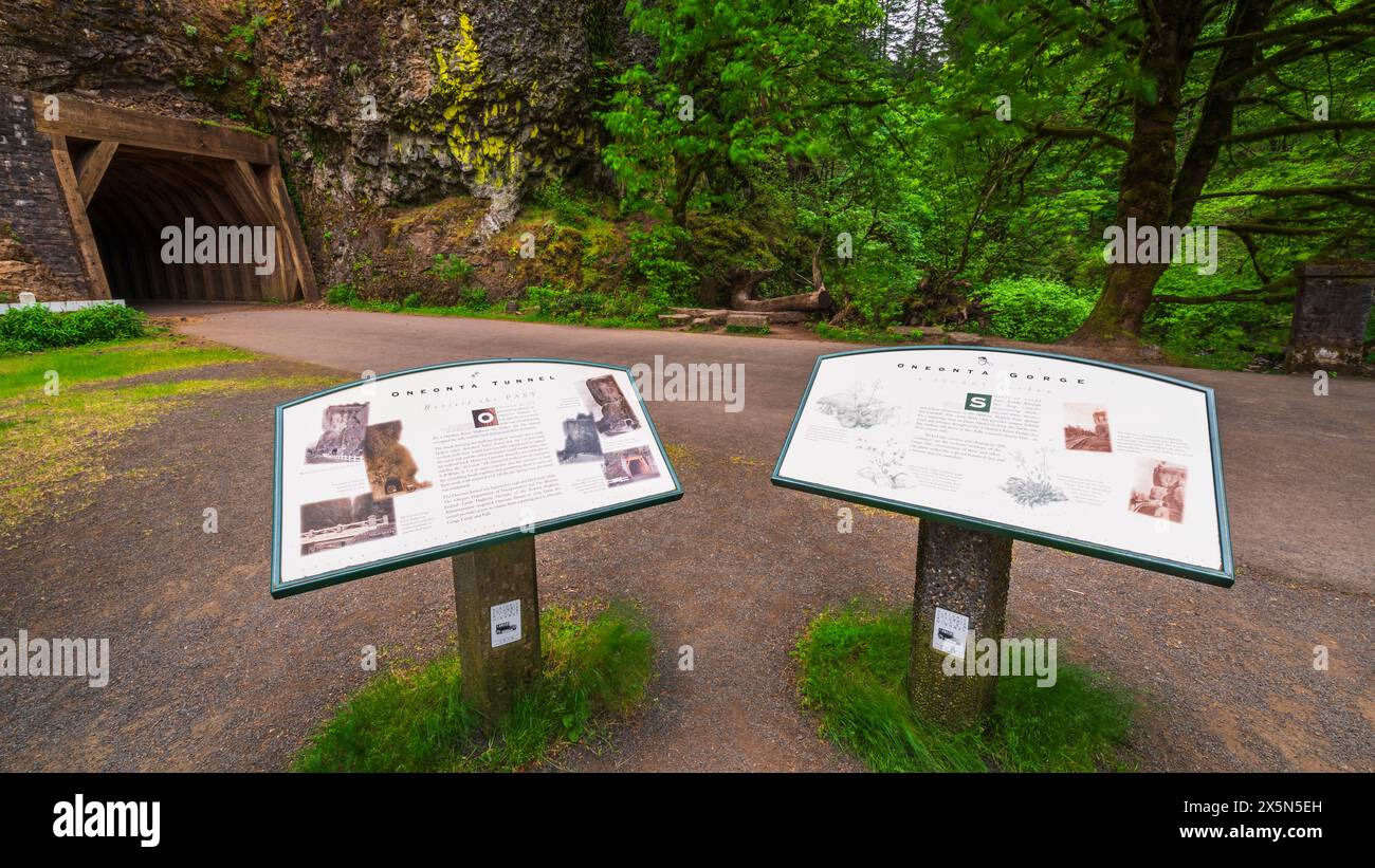 Cartello interpretativo presso la gola e il tunnel di Oneonta, Columbia River Gorge National Scenic area, Oregon, Stati Uniti Foto Stock