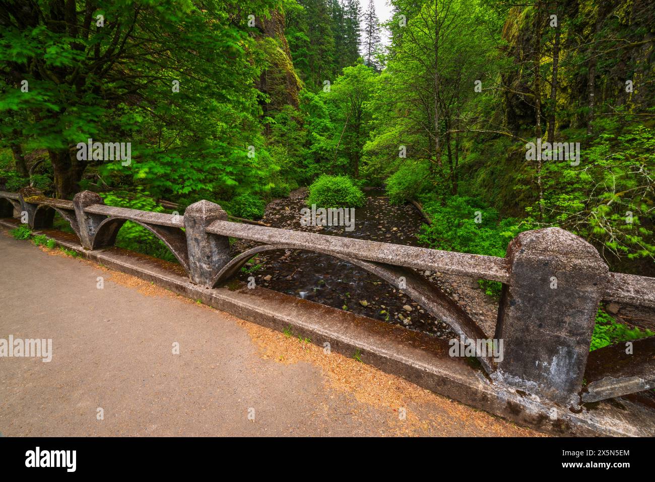 Oneonta Gorge, Columbia River Gorge National Scenic area, Oregon, Stati Uniti Foto Stock