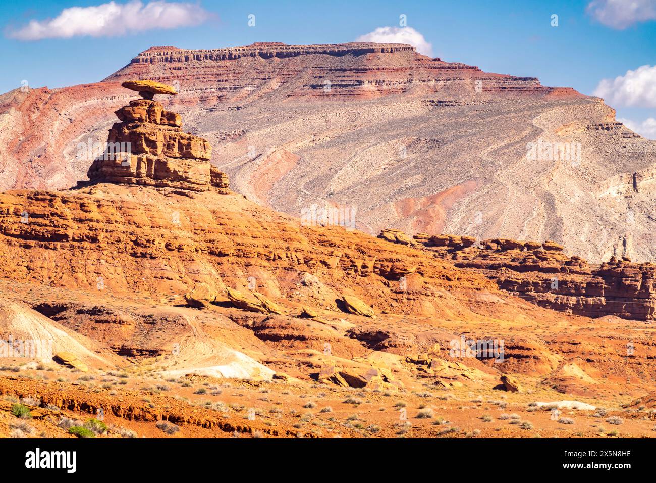 USA, Utah, Bear's Ears National Monument. Il cappello messicano ha eroso la formazione rocciosa. Foto Stock