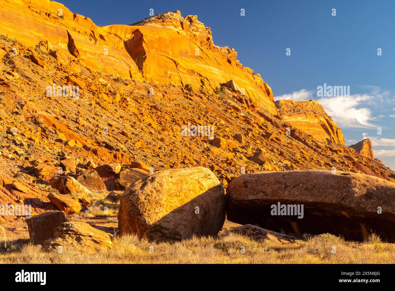 USA, Utah, Bear's Ears National Monument. Paesaggio di Comb Ridge. Foto Stock