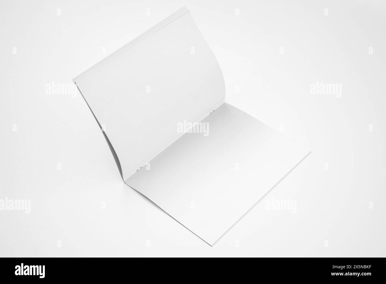 Rendering 3D con mockup A4 verticale Foto Stock