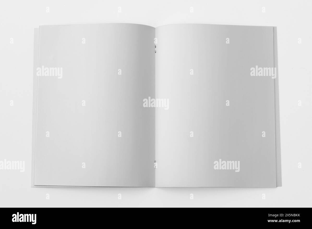 Rendering 3D con mockup A4 verticale Foto Stock