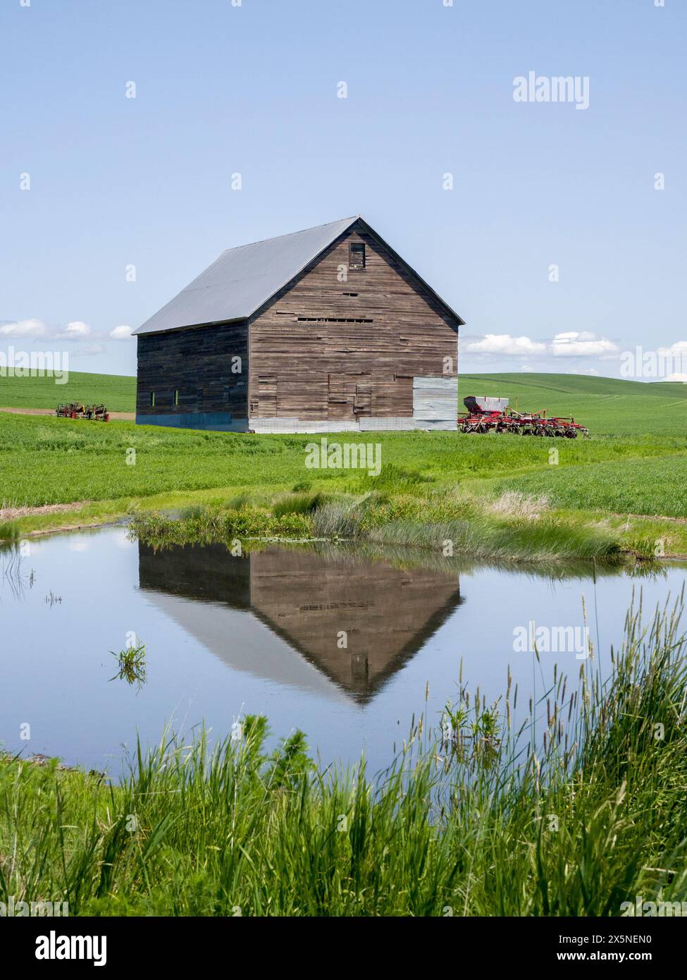 Stati Uniti, Stato di Washington, Palouse. Vecchio capannone che si riflette in uno stagno. Foto Stock