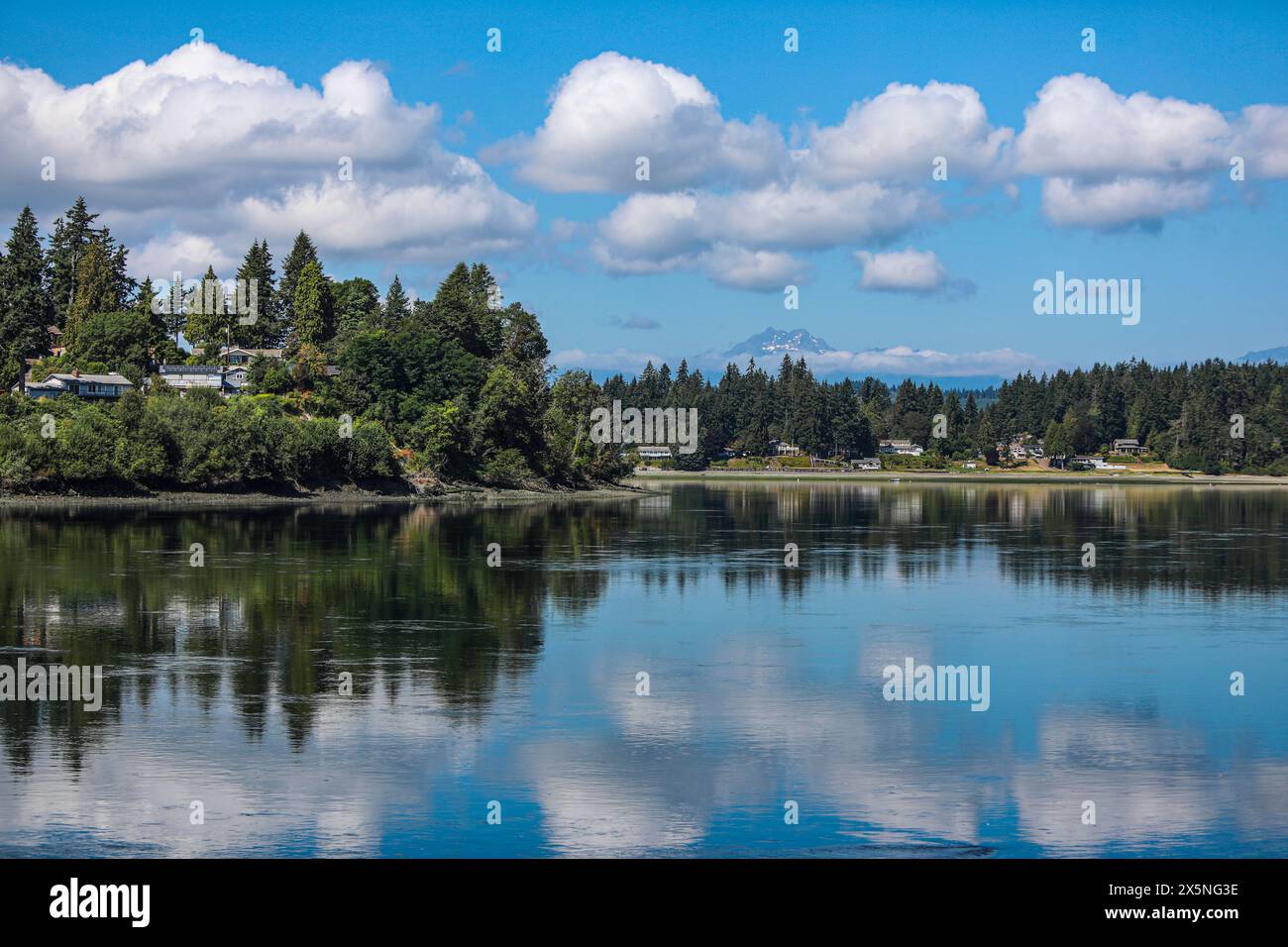 Bremerton, Stato di Washington, Stati Uniti. Le spettacolari Olympic Mountains osservano lo stretto di Puget in un giorno d'estate Foto Stock