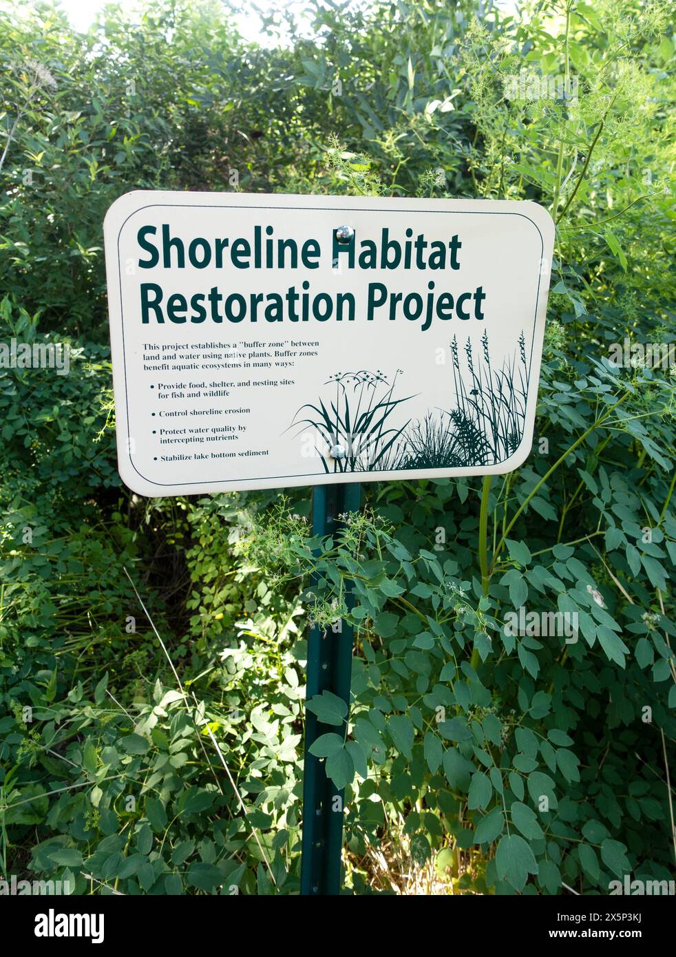 Cartello che spiega la necessità di una "zona cuscinetto" tra i laghi di terra e della città per filtrare e pulire l'acqua. Minneapolis, Minnesota, Minnesota, Stati Uniti Foto Stock