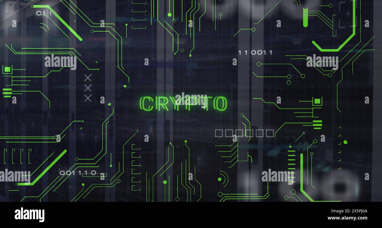 Immagine del testo cripto e dello schema elettronico dei circuiti stampati sui sistemi server di dati Foto Stock