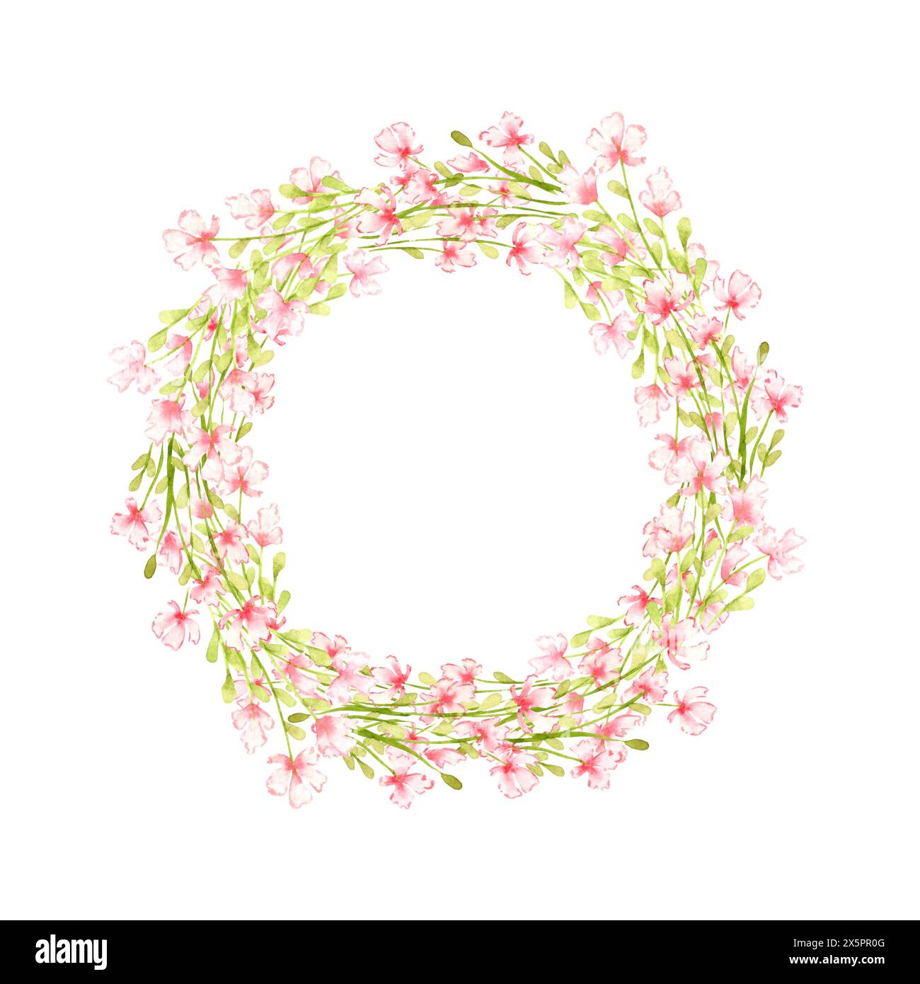Telaio piccolo campo con fiori rosa, corona, illustrazione ad acquerello. Prato estivo con stampa floreale e fiori selvatici. Isolato dallo sfondo. Per de Foto Stock
