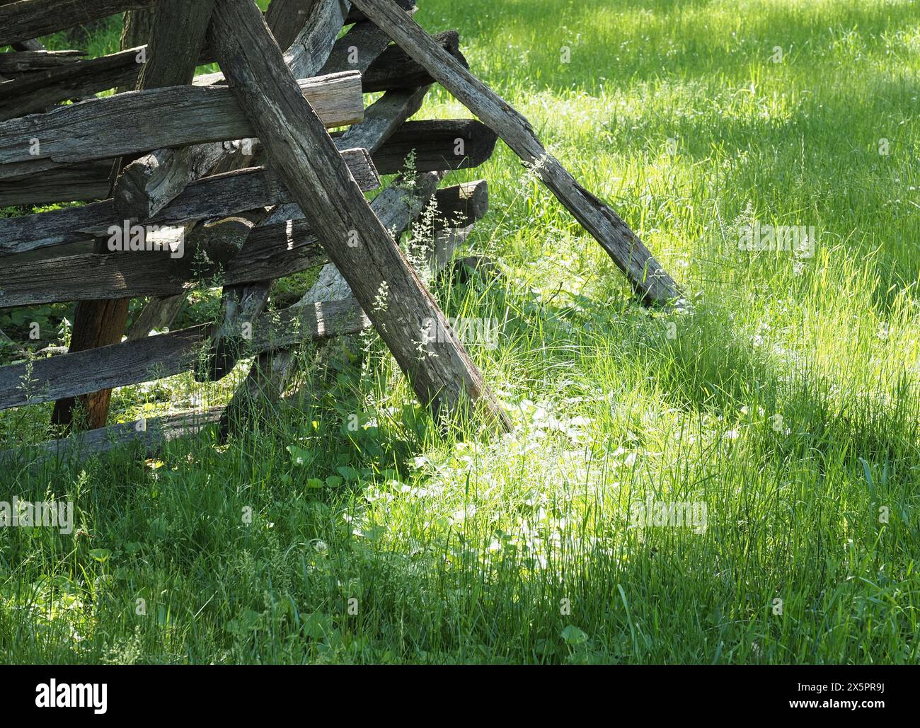 Split rail Fence presso New Salem State Historic Site, Illinois Foto Stock