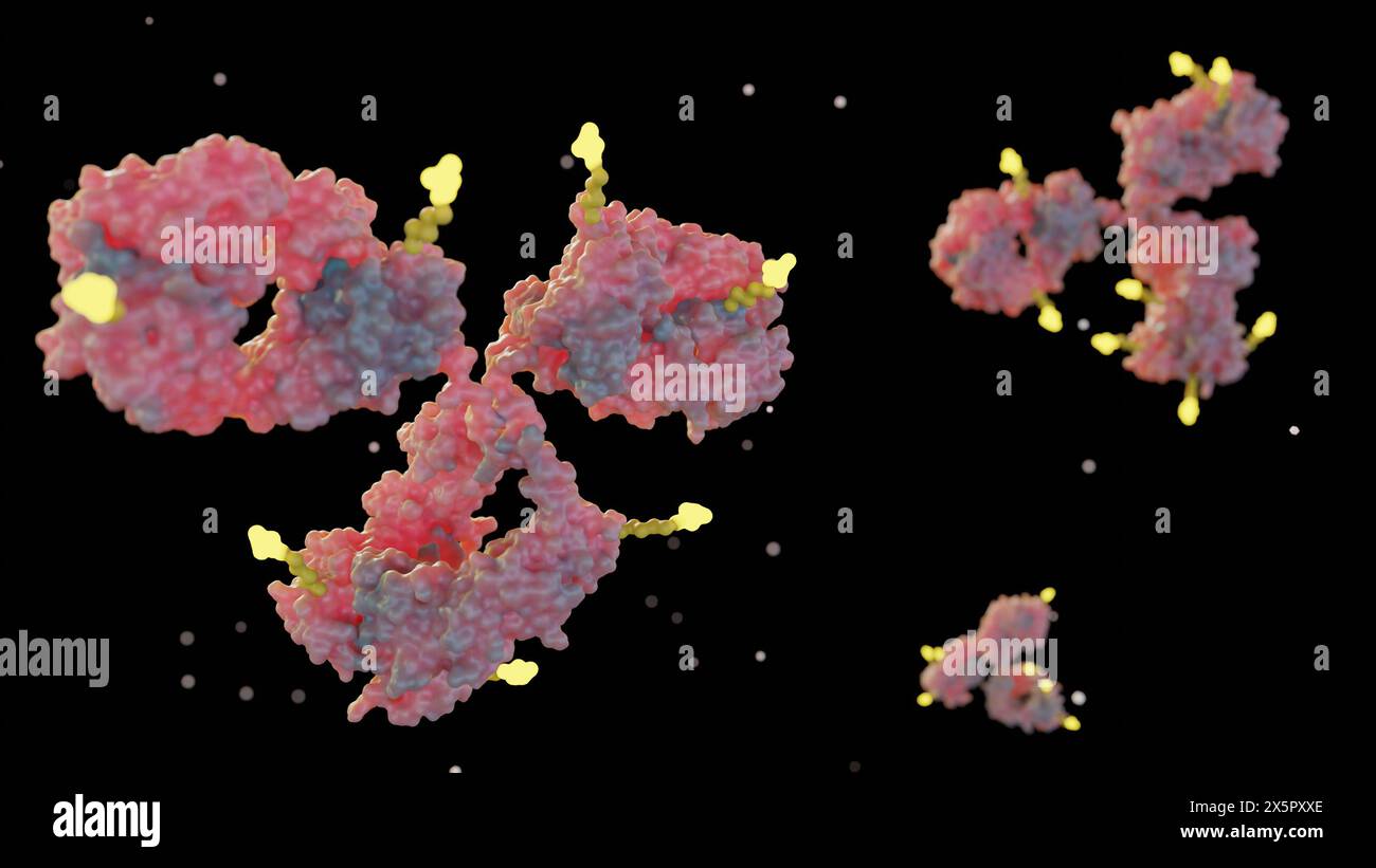 La rappresentazione 3d dei coniugati di farmaci anticorpali (ADC) è un farmaco mirato che fornisce agenti chemioterapici alle cellule tumorali Foto Stock