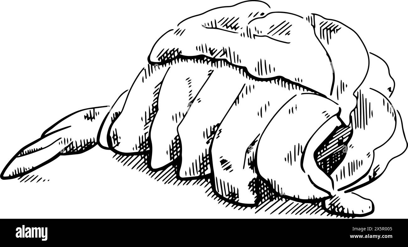 Aragosta grigliata sul piatto. Schizzo, disegno della linea Illustrazione Vettoriale
