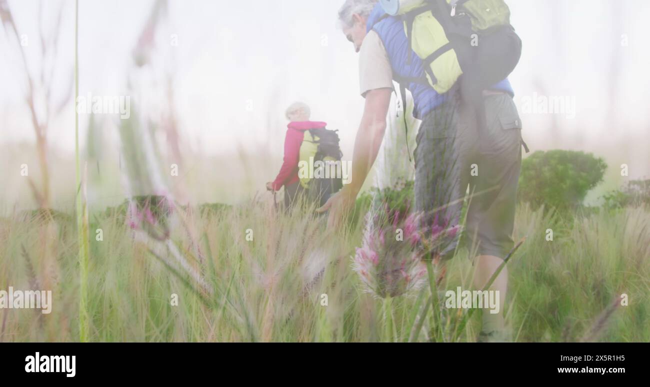 Una coppia caucasica, entrambi istruttori di fitness, sta camminando attraverso il prato Foto Stock