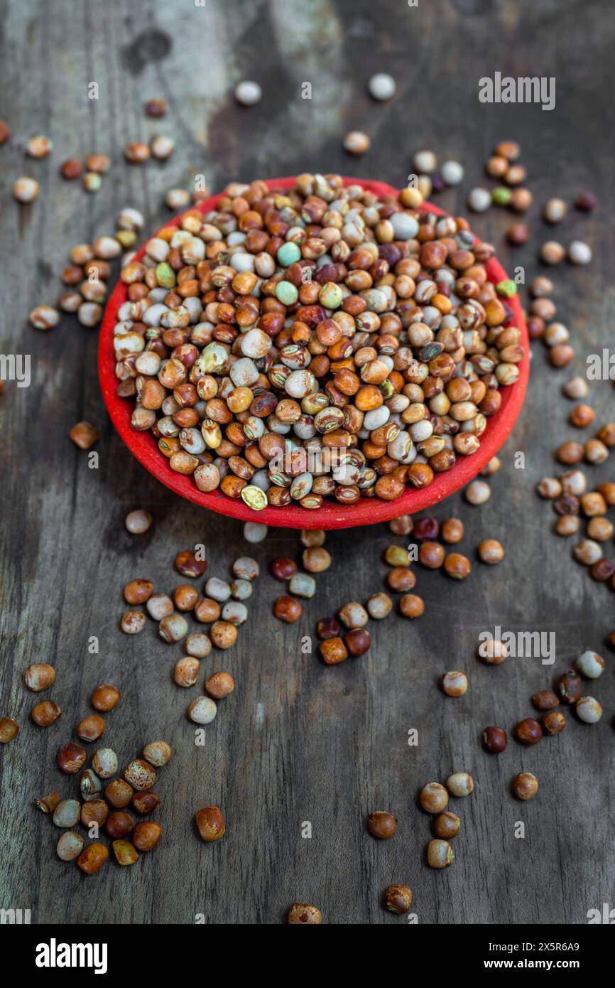Piselli biologici multicolori Whole Tur dal o piccione esposti su un piano in legno vintage. Uttarakhand, India. Foto Stock