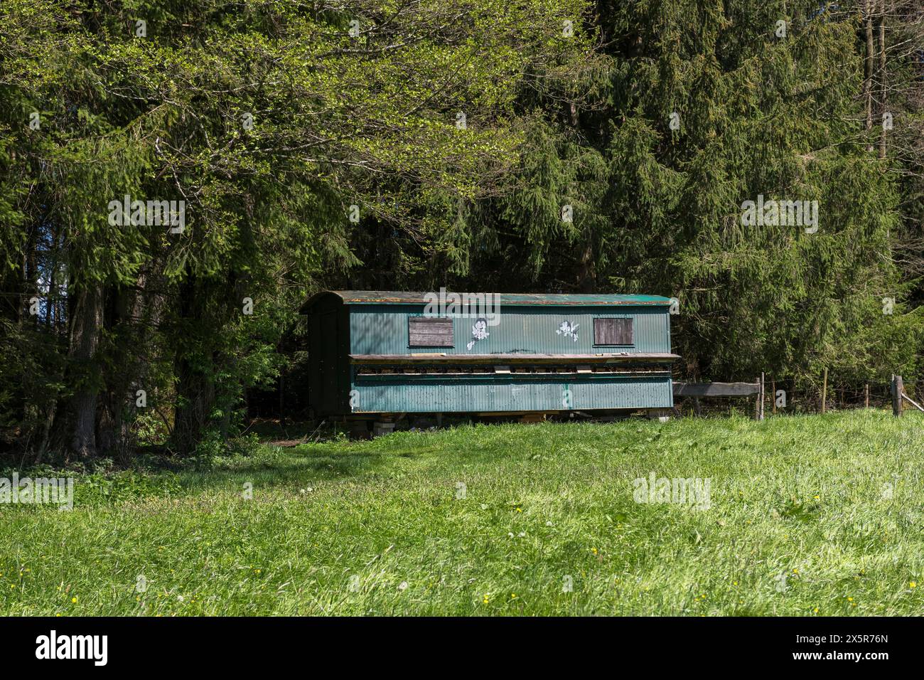 Alveari mobili ai margini di una foresta, rimorchio, carro, Allgäu, Baviera, Germania, Europa Foto Stock