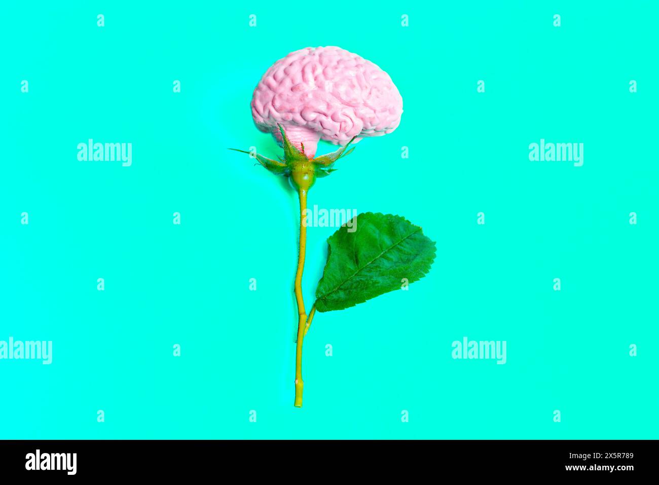 Rosebud e' un modello di cervello umano isolato su uno sfondo vibrante. Bellezza e profondità dell'intelligenza umana. Foto Stock