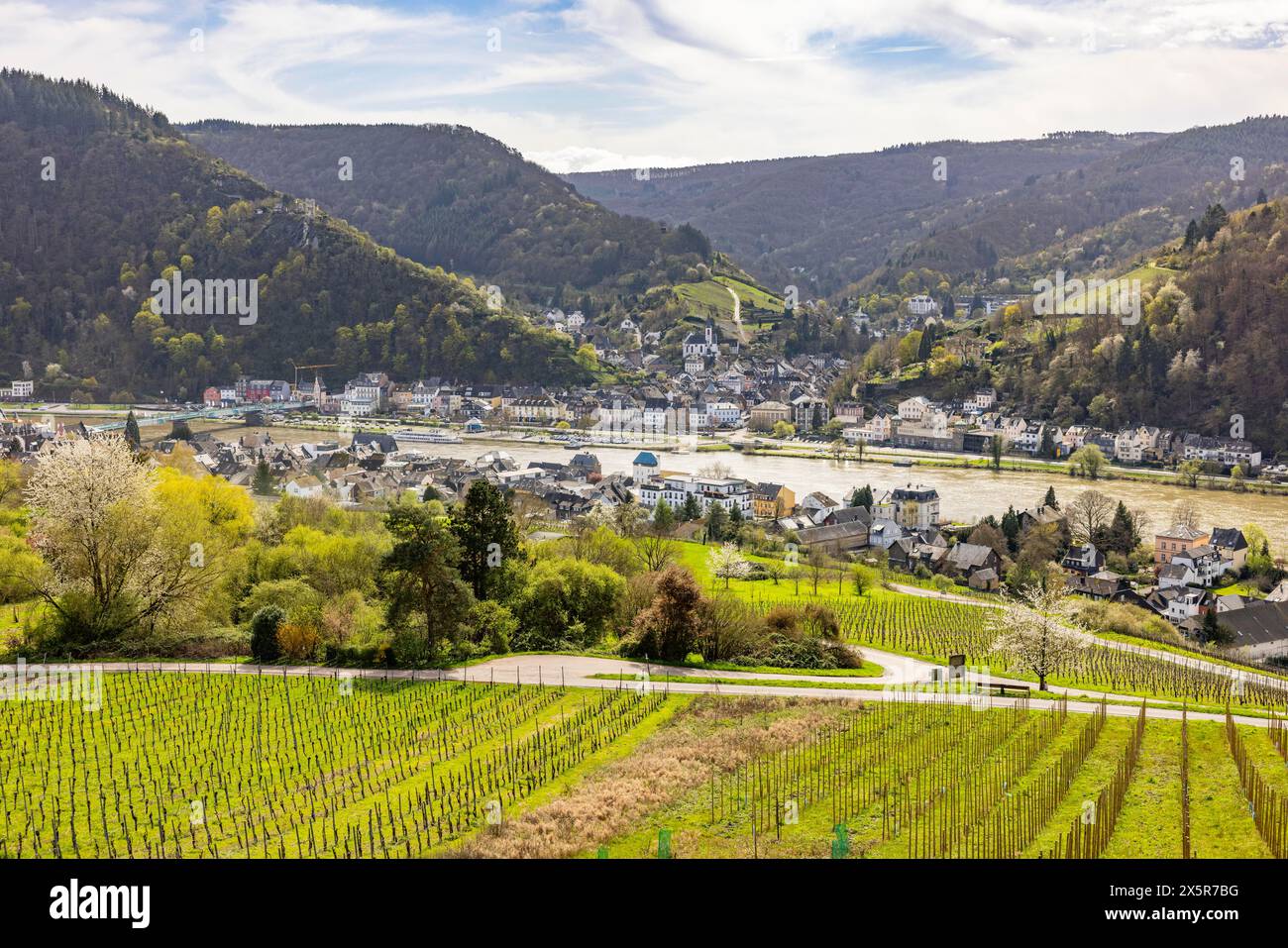 Vista della città di Traben-Trarbach e della Mosella con i vigneti circostanti e cielo limpido, Traben-Trarbach, Renania-Palatinato, Germania Foto Stock