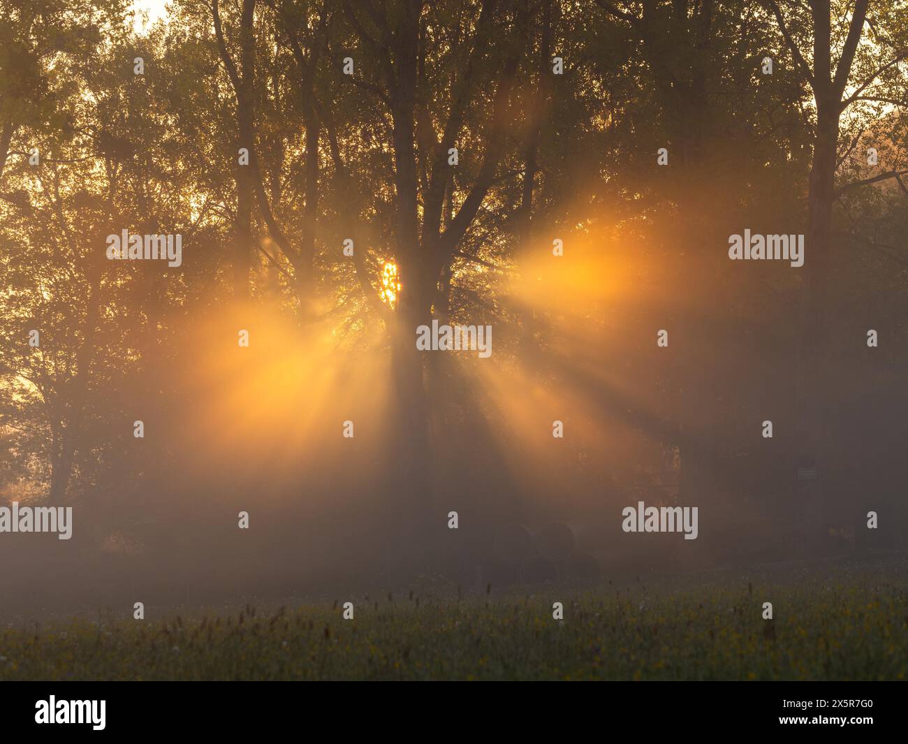 Alba, raggi del sole che attraversano il bordo della foresta, nei pressi di Irdning, Ennstal, Stiria, Austria, Europa Foto Stock