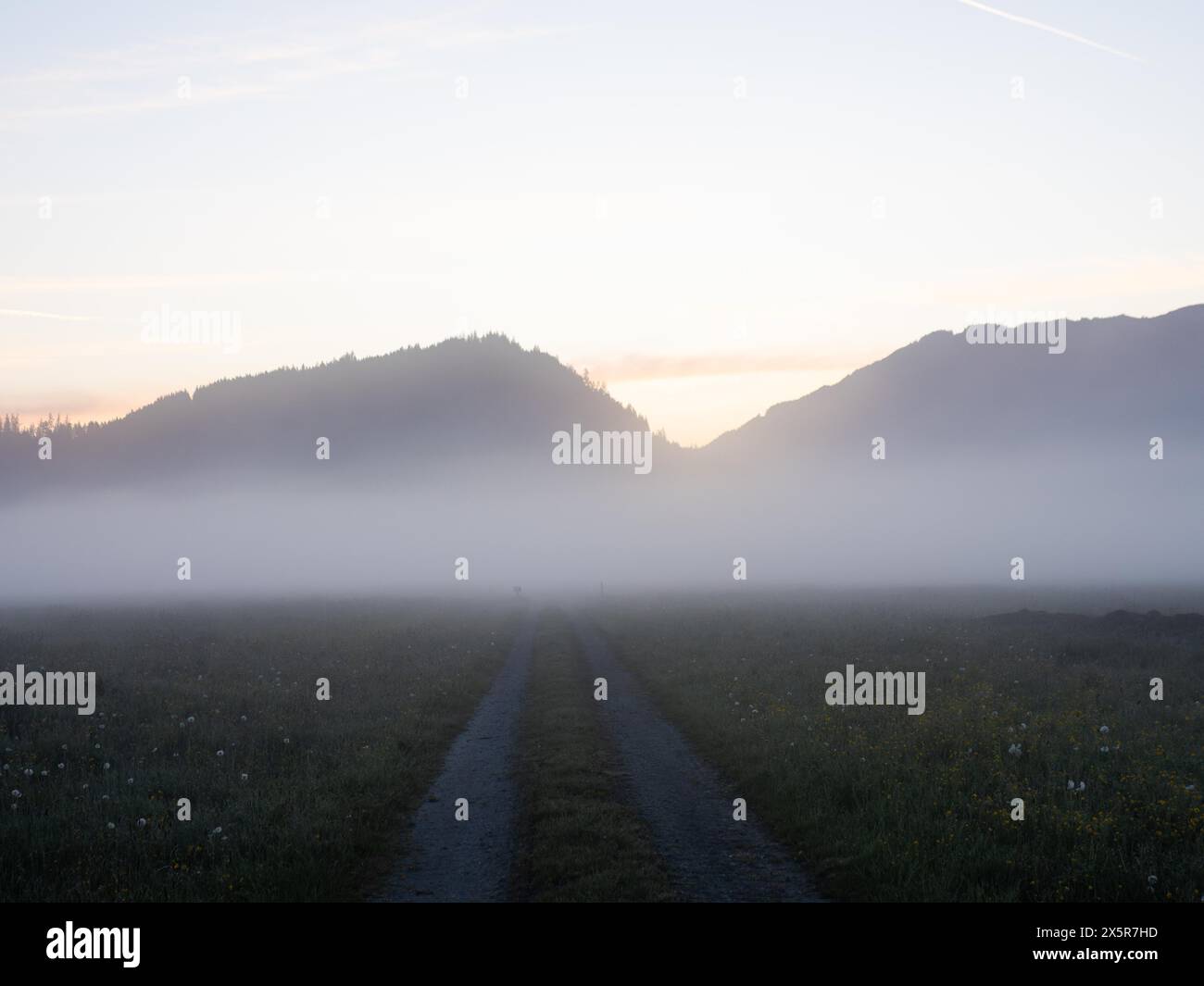 Alba sul bordo della foresta, sentiero in nebbia mattutina, vicino a Irdning, Ennstal, Stiria, Austria, Europa Foto Stock
