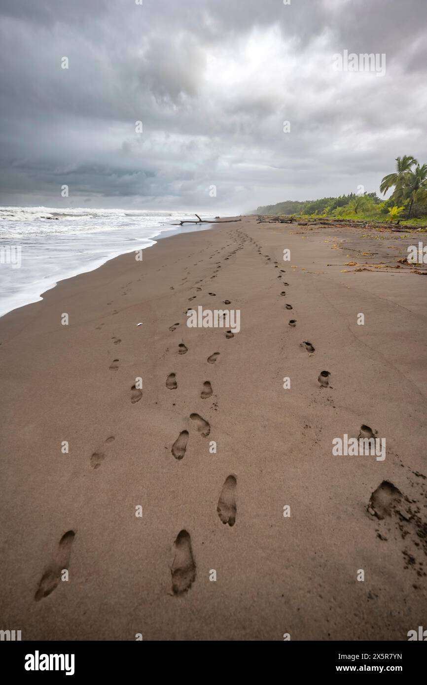 Impronte nella sabbia, spiaggia sabbiosa sulla costa caraibica, Parco Nazionale di Tortuguero, Costa Rica Foto Stock