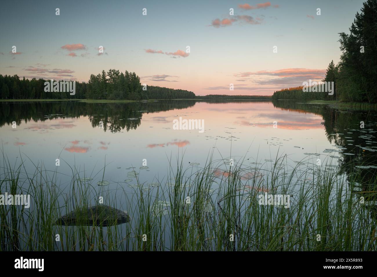 Lago vicino ad Hartola, foresta, atmosfera serale, Finlandia, Europa Foto Stock