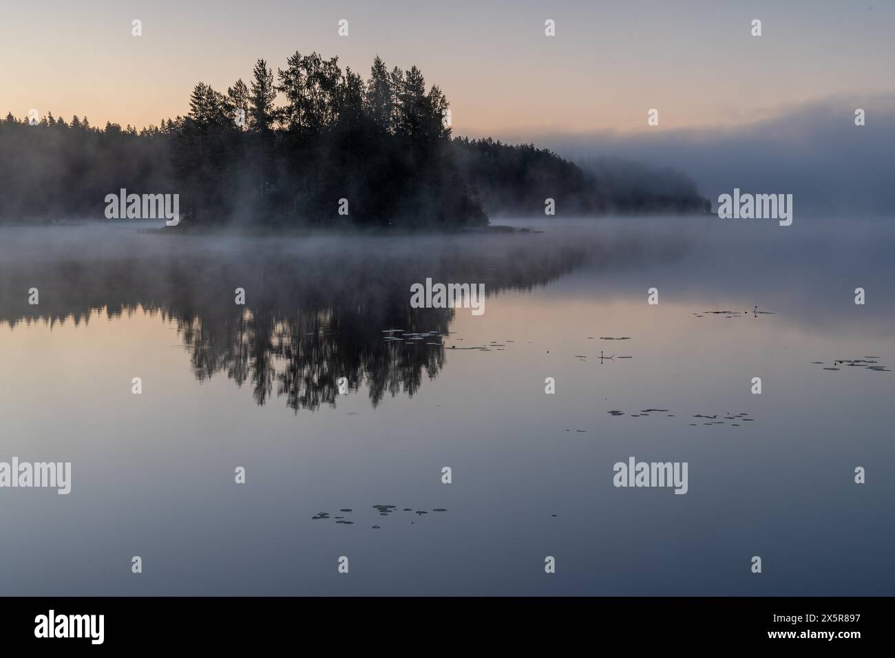 Lago vicino ad Hartola, foresta nella nebbia, Finlandia, Europa Foto Stock