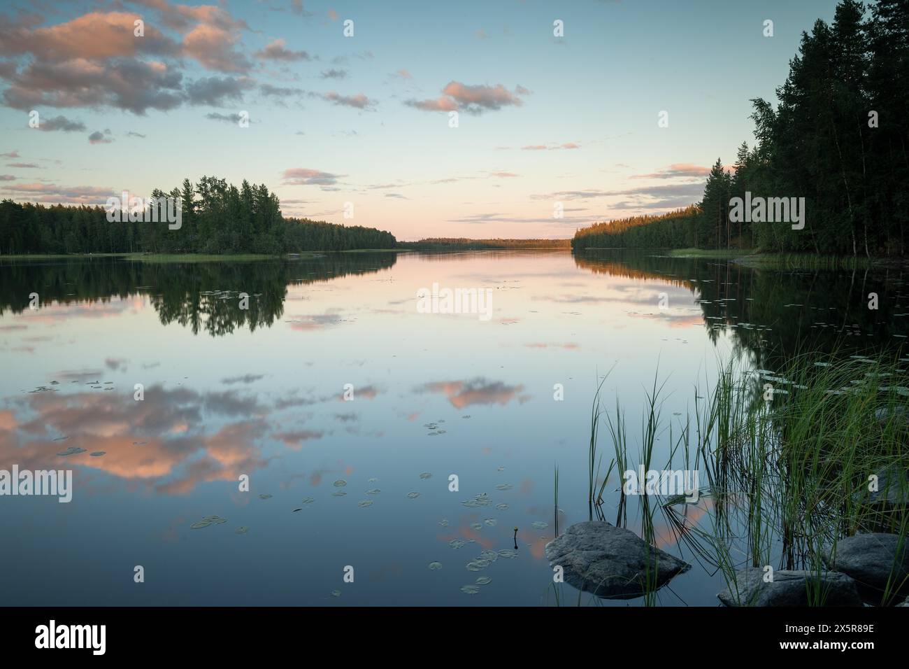 Lago vicino ad Hartola, canne, foresta, atmosfera serale, Finlandia, Europa Foto Stock