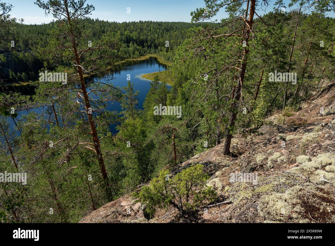 Lago nella foresta, Parco Nazionale di Isojärvi, Finlandia, Europa Foto Stock