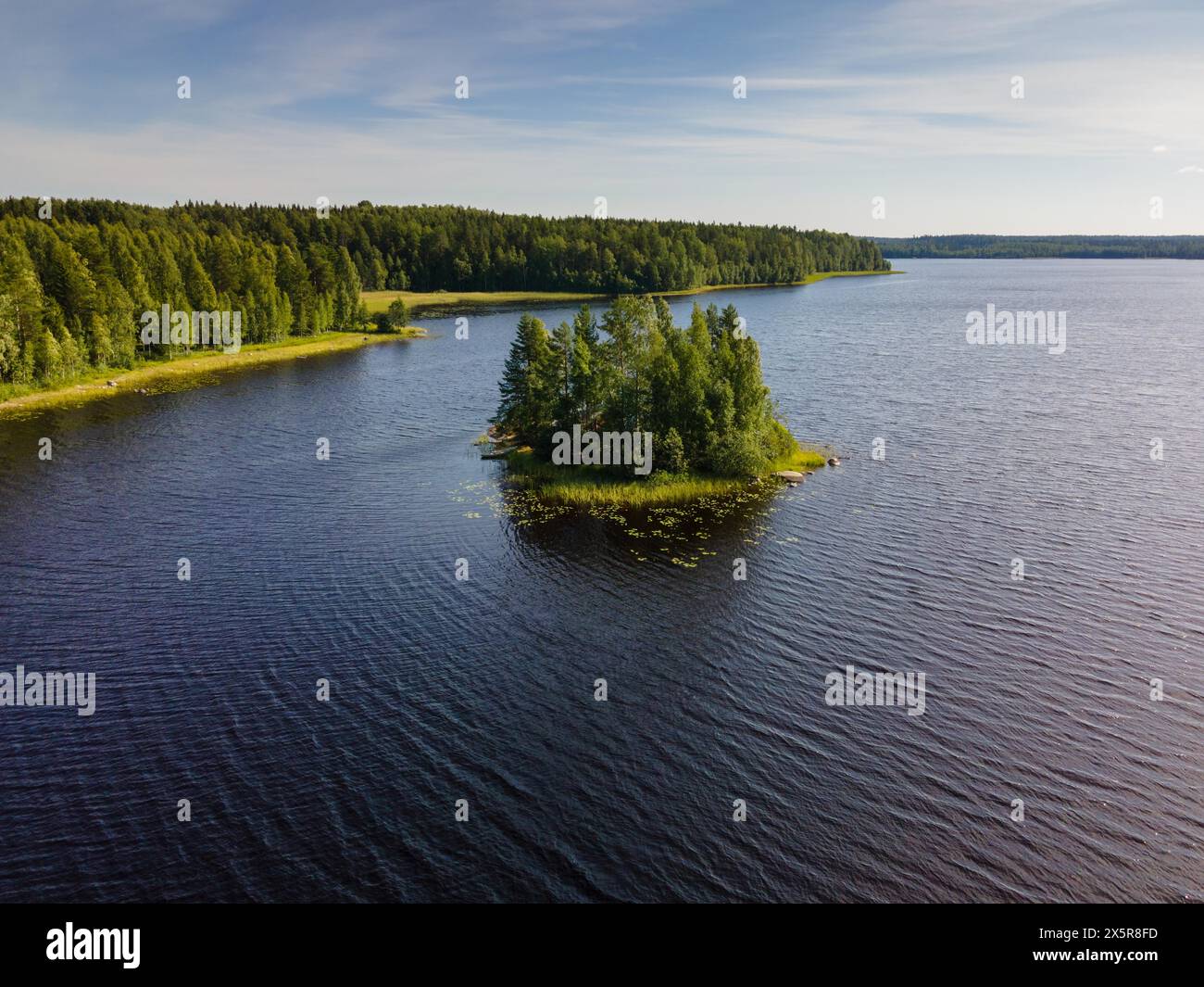 Immagine drone di lago con isola, vicino Hartola, foresta, Finlandia, Europa Foto Stock