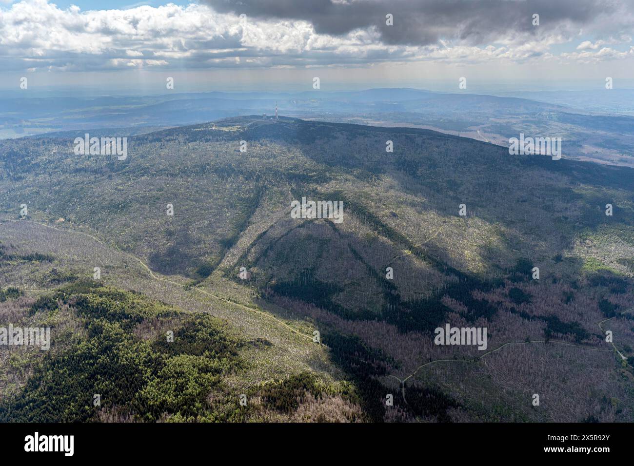 Foto aerea, Harz Mountains con Brocken, foresta dieback Foto Stock