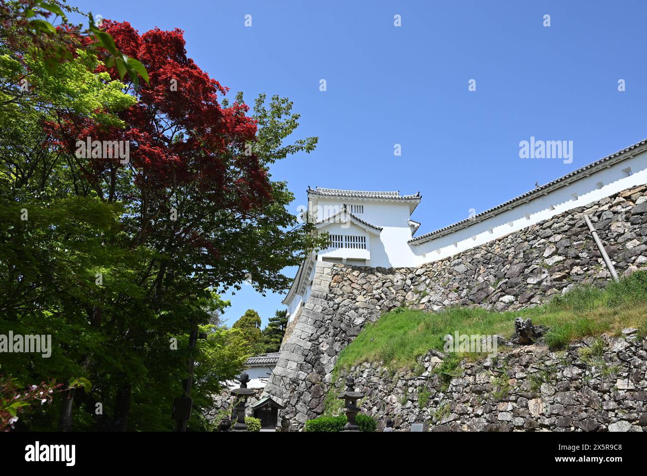 Himeji, Hyogo, Giappone - 19 aprile 2024: Torretta vicino alle foglie verdi e rosse in giorno di sole sotto il cielo azzurro Foto Stock