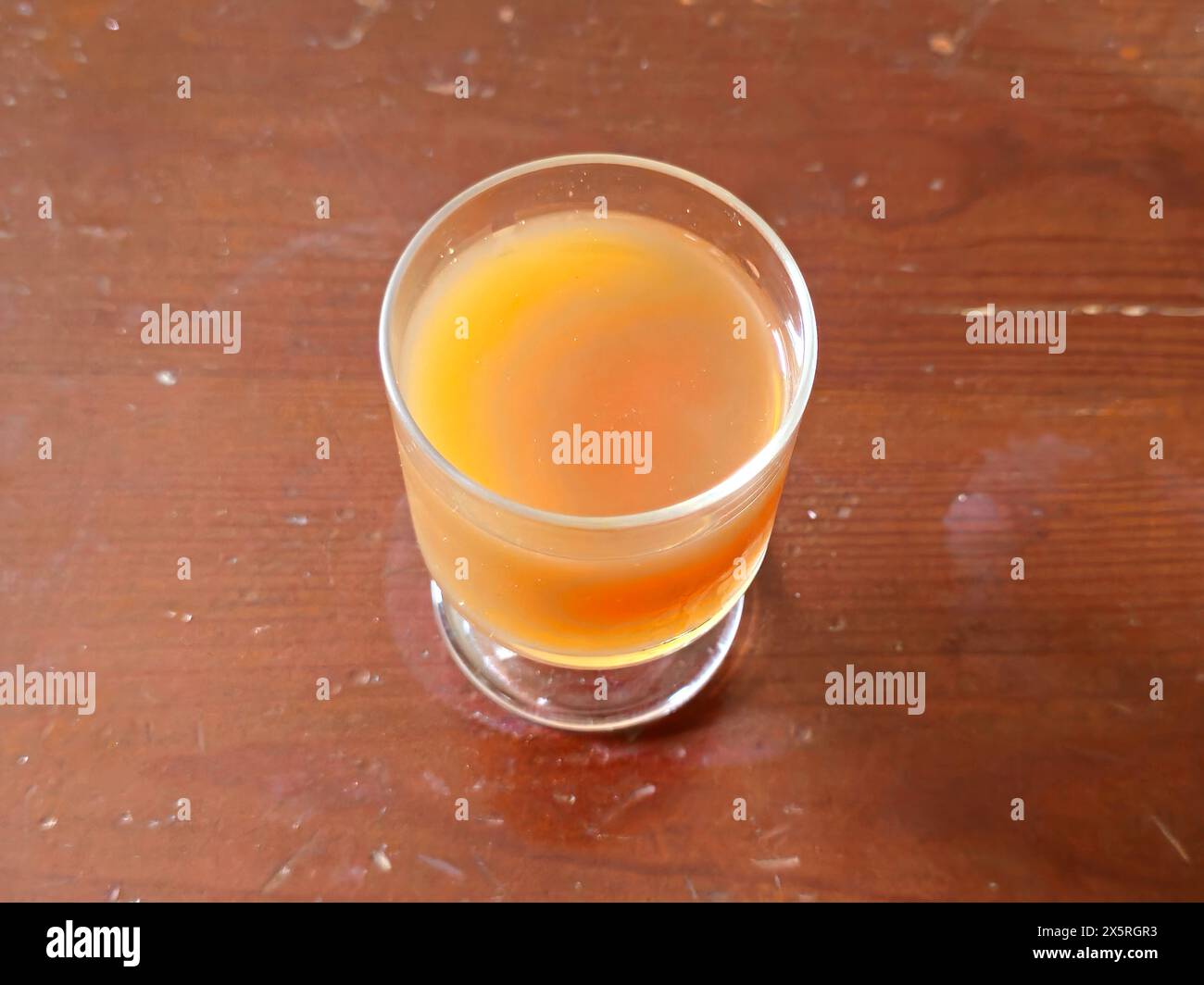 Succo di Hyphaene thebaica, palma doum, albero di pan di zenzero, un tipo di palma con frutta ovale commestibile, originario della penisola arabica e anche della nord Foto Stock