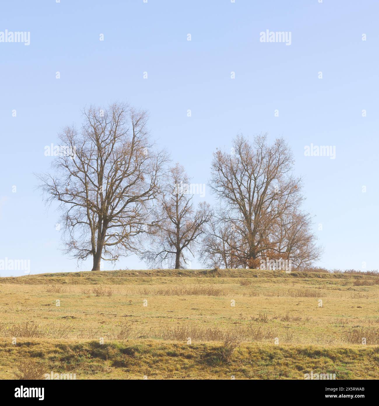 L'alba si apre su una tranquilla collina rurale Foto Stock