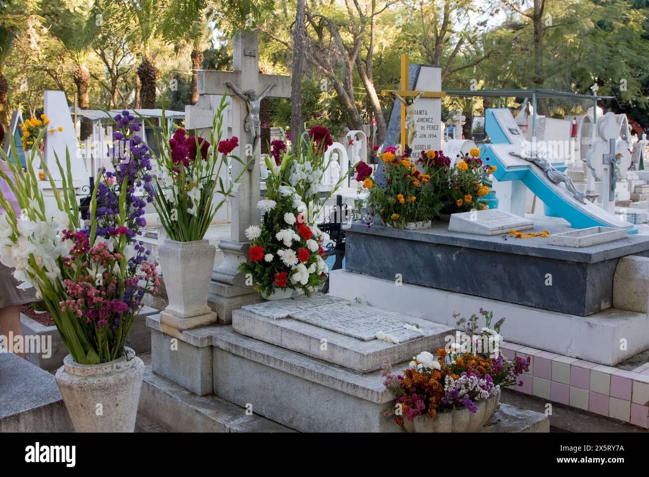 Oaxaca; Messico; Nord America. Il giorno della celebrazione dei morti. Graves decorate, cimitero di San Miguel. Foto Stock