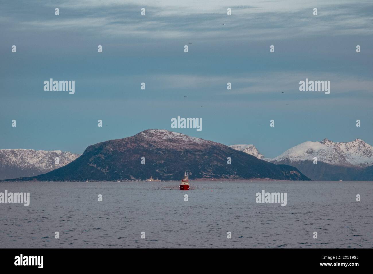 Barca da pesca in mare e montagne innevate, Tromso, Norvegia Foto Stock