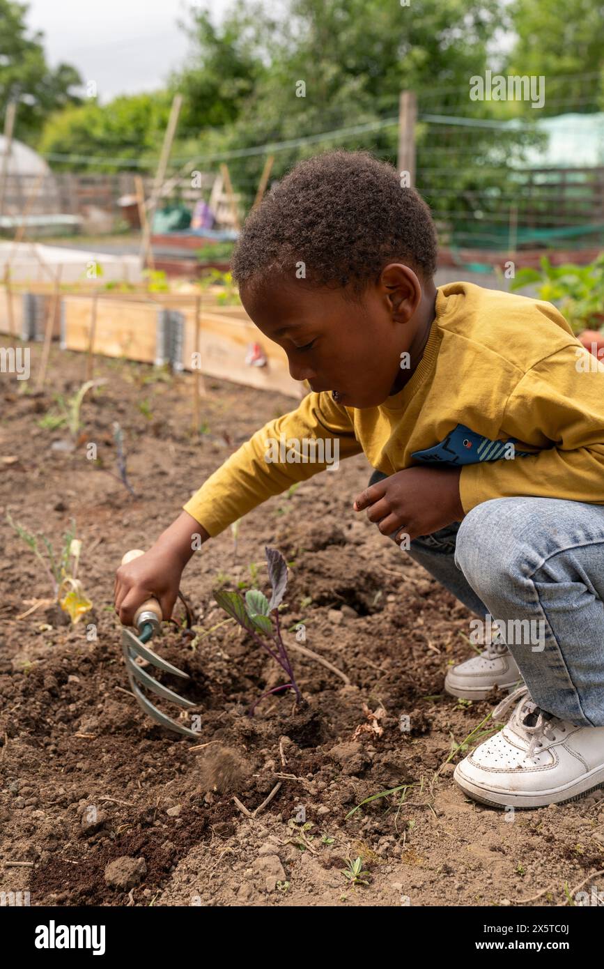 Ragazzi che giardinano nell'assegnazione Foto Stock