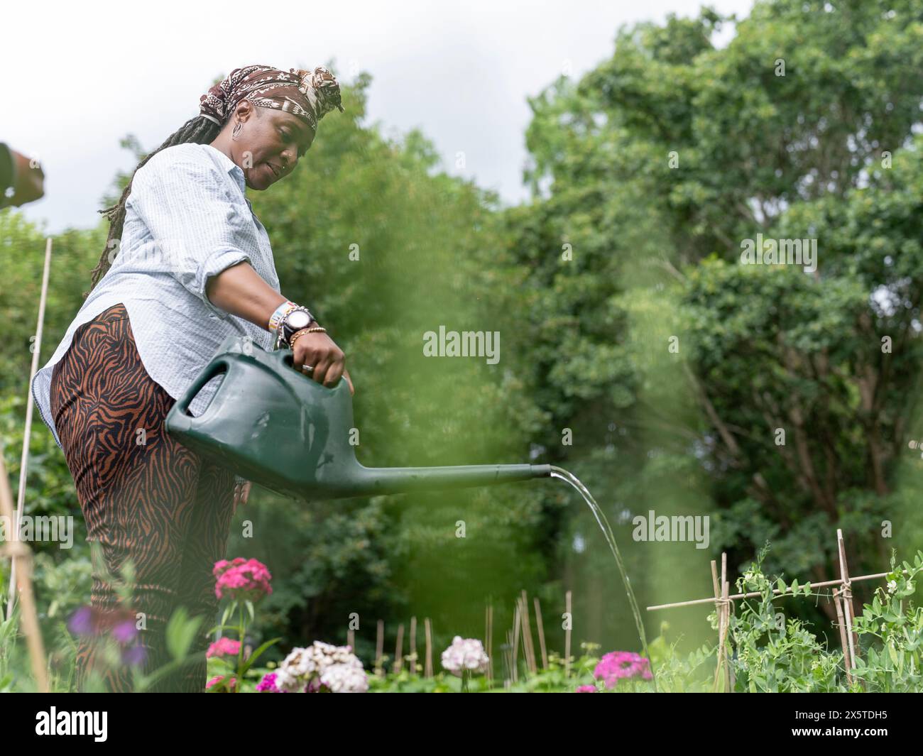 Donna matura innaffiare piante in giardino Foto Stock