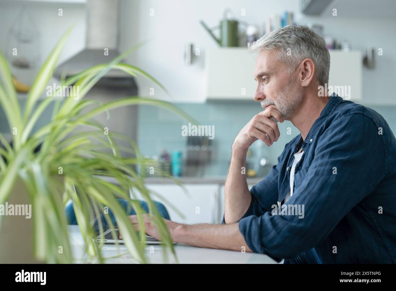 Uomo maturo lavorando sul portatile a casa Foto Stock