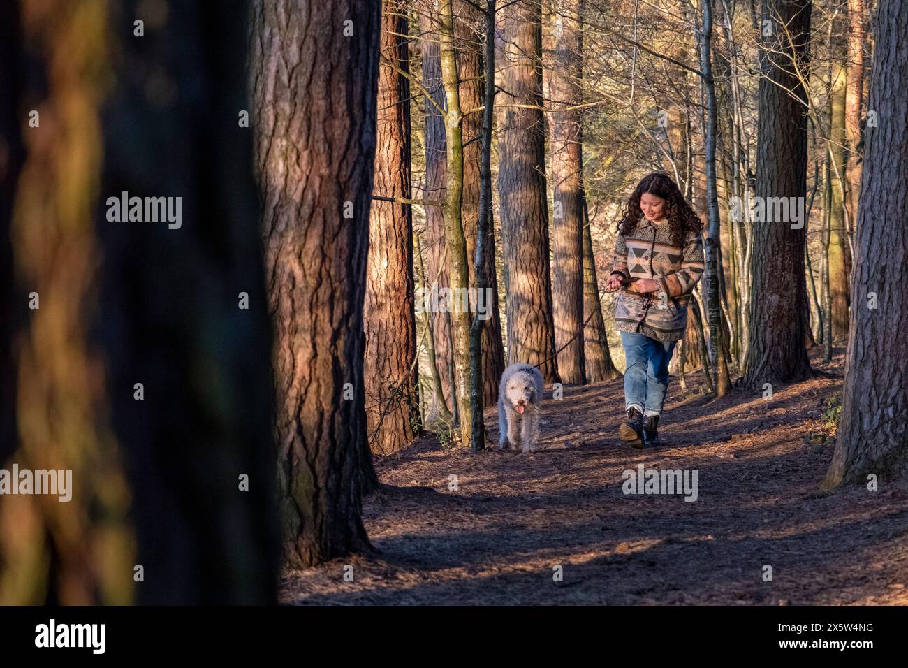 Giovane donna che cammina cane nella foresta Foto Stock