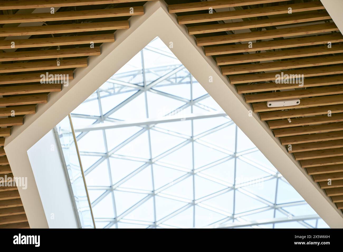 Il soffitto è composto da elementi in legno e vetro trasparente. Tetto in vetro lucernario, con spazio per la copia. Illuminazione naturale di un edificio ecologico per risparmiare sui costi energetici. Foto di alta qualità Foto Stock