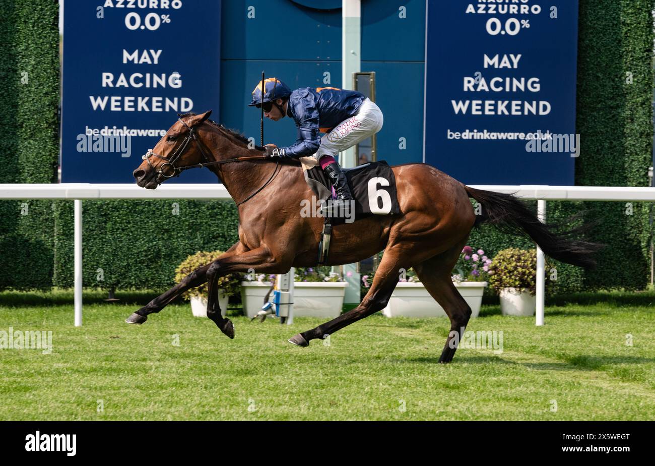 Ascot, Regno Unito. Sabato 11 maggio 2024. Warda Jamila e Oisin Murphy vincono i Mariner Systems Fillies' handicap Stakes per l'allenatore Andrew Balding e il proprietario Mr Sultan Ali. Crediti JTW equine Images / Alamy Live News Foto Stock