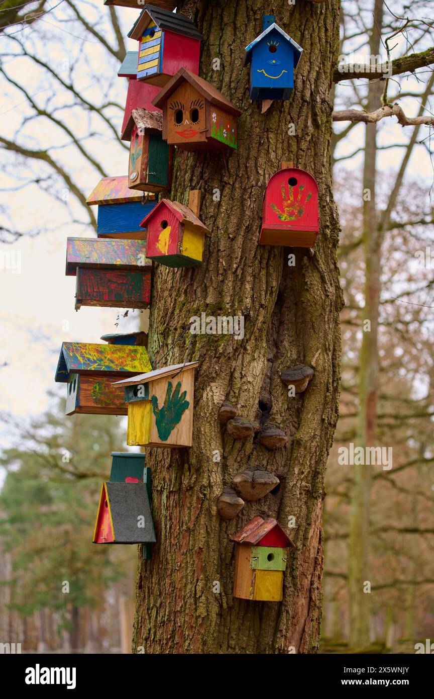 Albero con molte scatole colorate per nidi di uccelli, Assia, Germania Foto Stock