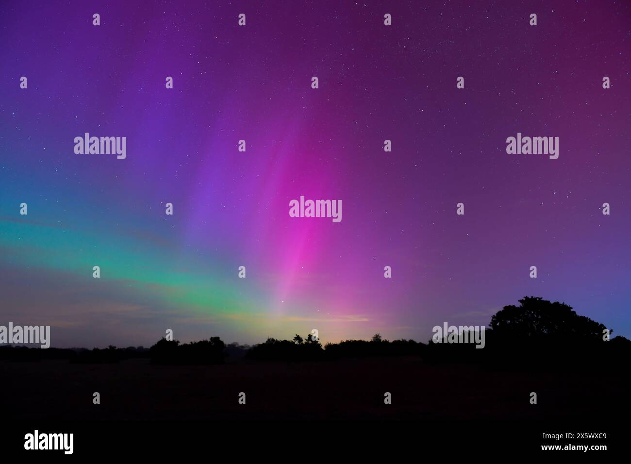 Una rara tempesta solare G5 rende visibile l'aurora boreale nell'Inghilterra meridionale, vista qui nei cieli del New Forest Hampshire England. Foto Stock