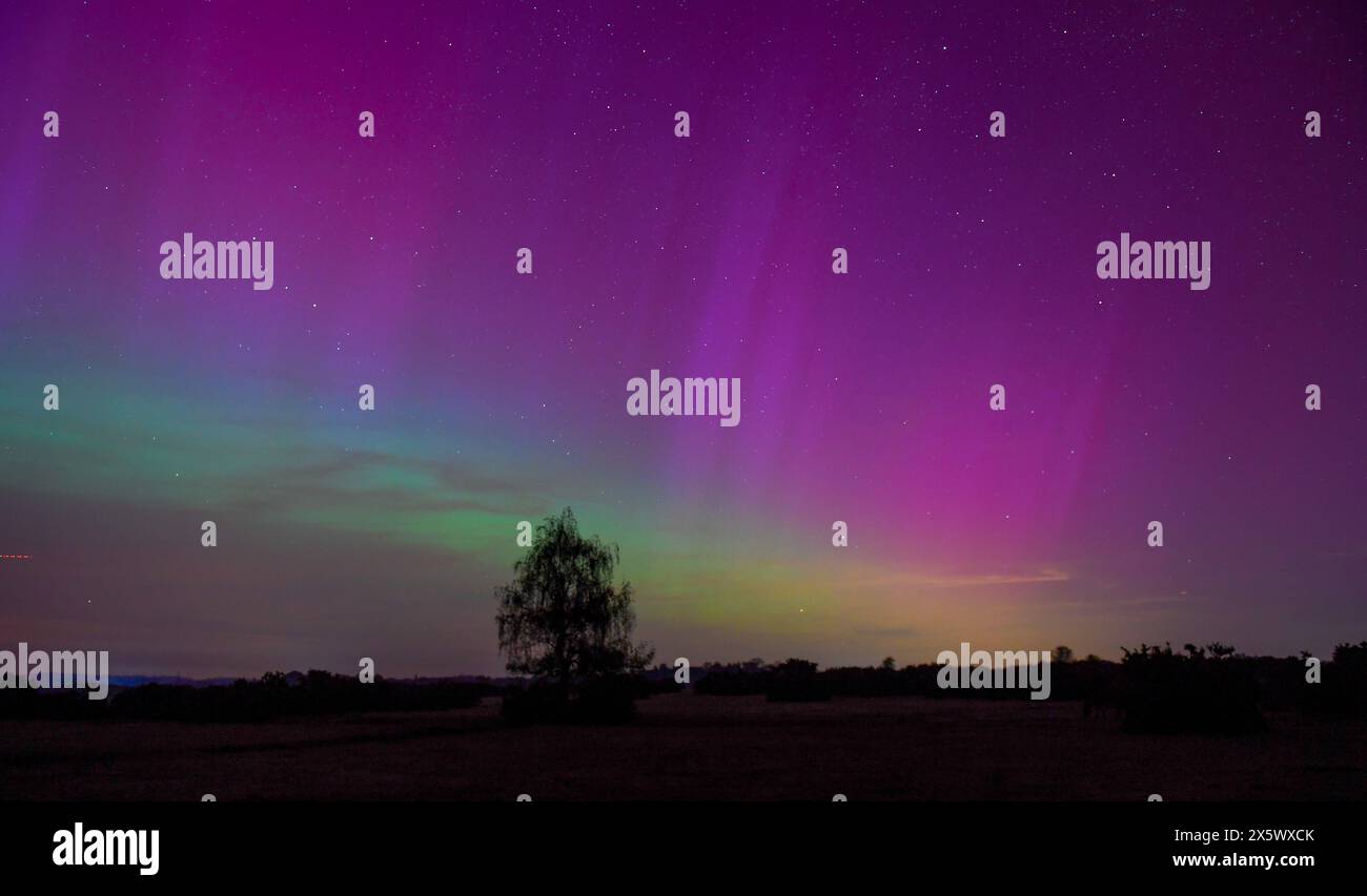 Una rara tempesta solare G5 rende visibile l'aurora boreale nell'Inghilterra meridionale, vista qui nei cieli del New Forest Hampshire England. Foto Stock