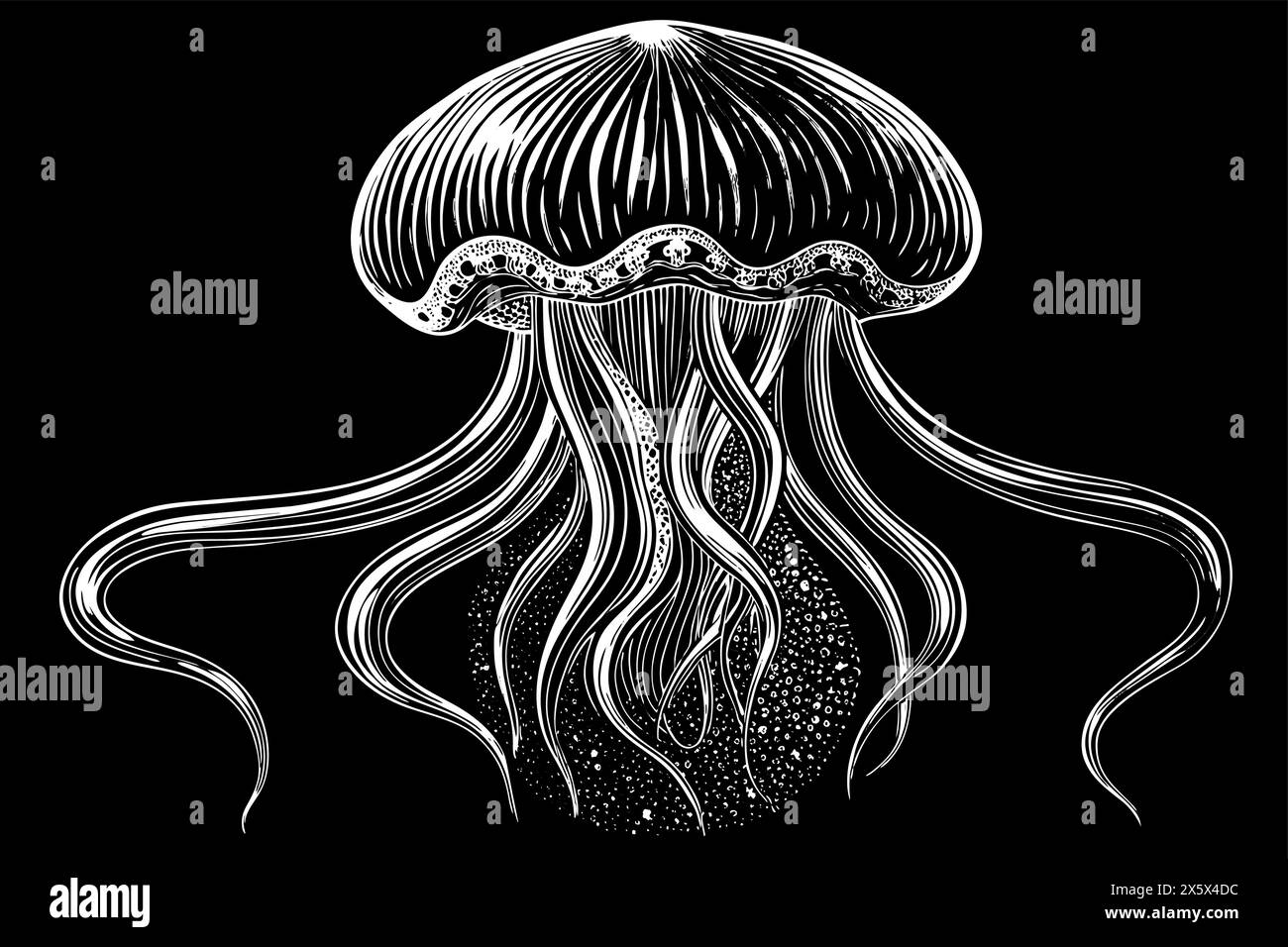 Silhouette bianca di meduse con tentacoli fluenti. Oceanic medusa. Concetto di animale oceanico, creatura marina. Illustrazione grafica. Stampa, elemento per Illustrazione Vettoriale