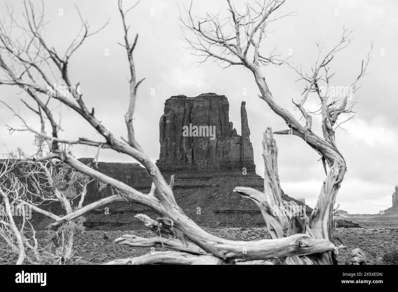 Vista panoramica delle magnifiche colline della Monument Valley, visibile dall'hotel, escursioni a piedi, strade panoramiche o escursioni guidate Navajo. Foto Stock