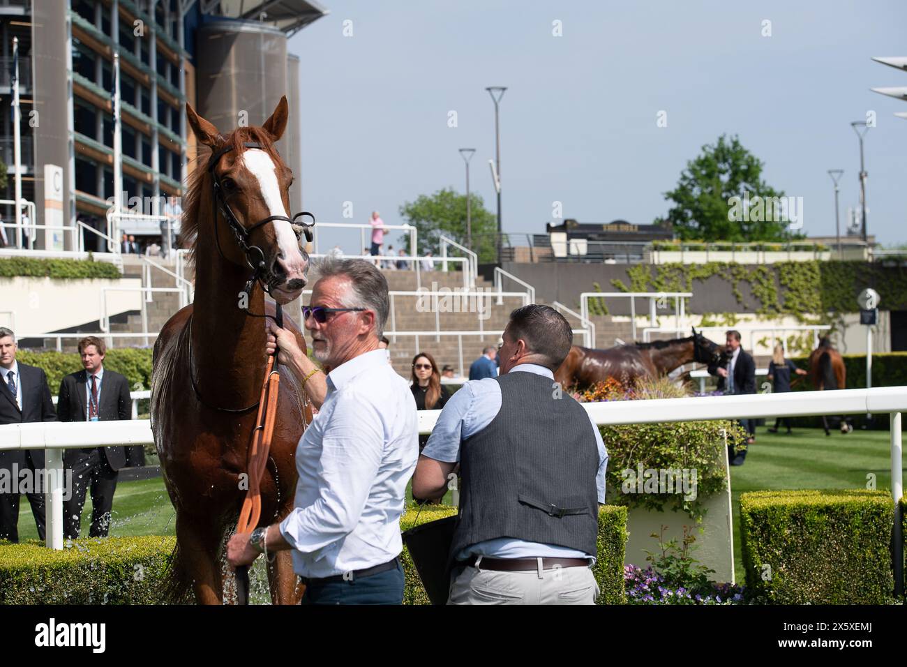 Ascot, Berkshire, Regno Unito. 11 maggio 2024. Horse the Wizard of Eye guidato dal fantino Tom Marquand vince la Lavazza & Ascot 10 Year Anniversary Victoria Cup all'Ascot Racecourse al Peroni nastro Azzurro 0,0% Victoria Cup Raceday. Proprietario R Humphrey, o Humphrey & A Favell, allenatore Charlie Fellowes, Newmarket, allevatore M Phelan, Sponsor Roy Humphrey Group. Crediti: Maureen McLean/Alamy Live News Foto Stock