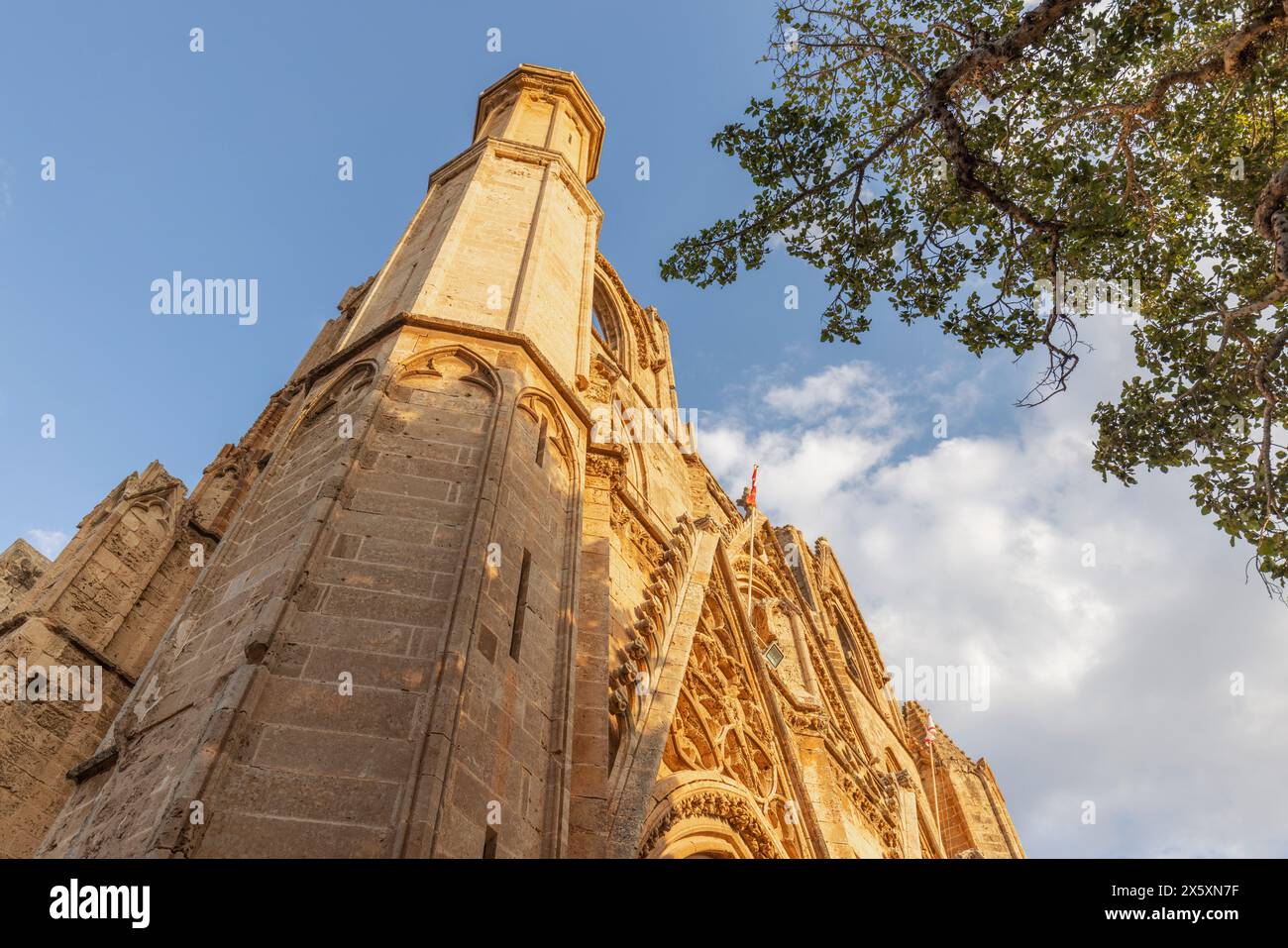 Dettaglio della Cattedrale di San Nicola | Moschea Lala Mustafa Pasha a Famagosta, Cipro del Nord. Foto Stock